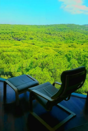 Kozakorman Hotel and Restaurant - Görsel 8