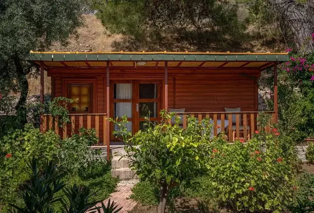 Felicity Hotel Bungalows - Görsel 3