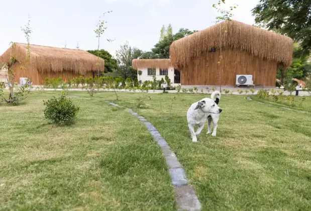 A La Mode Cappadocia by Elixir Hotels - Görsel 5