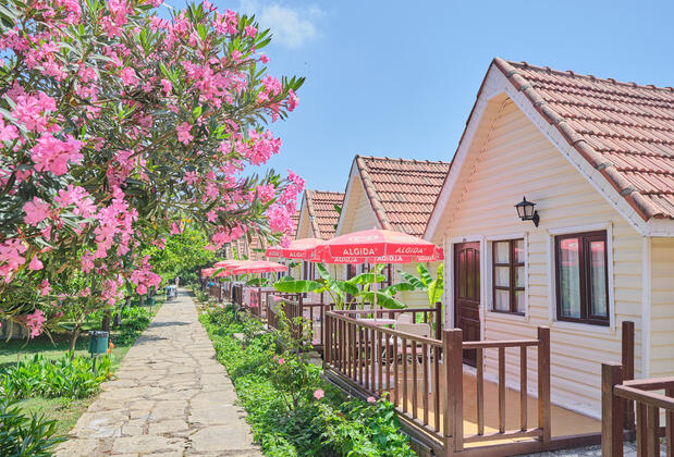 Clover Magic Nova Beach Hotel - Görsel 4