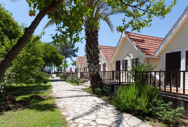 Clover Magic Nova Beach Hotel - Görsel 6