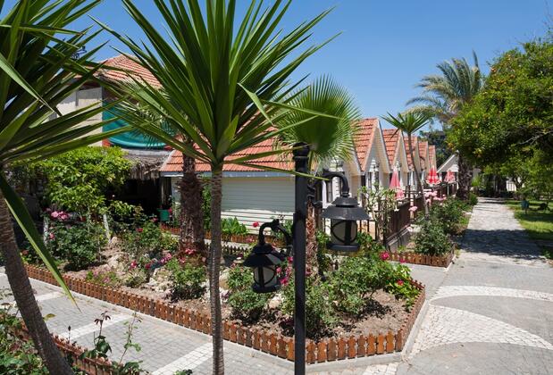 Clover Magic Nova Beach Hotel - Görsel 7