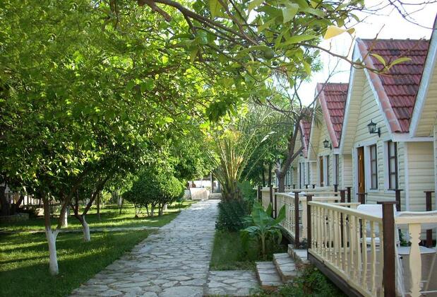 Clover Magic Nova Beach Hotel - Görsel 8