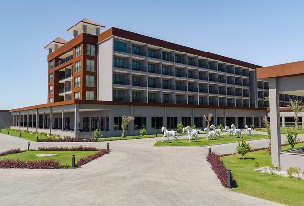 The Arkın İskele - Görsel 4