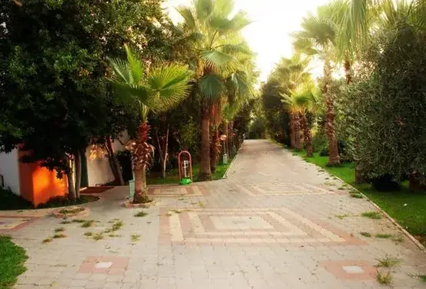 Orfeus Otel - Görsel 3