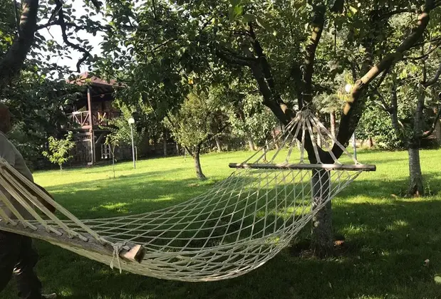 Celal Bey Konağı - Görsel 9