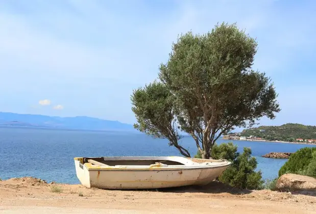 Assos Mitillini Butik Otel - Görsel 12