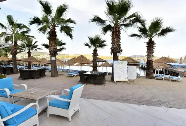 Coconat Beach Hotel - Görsel 14