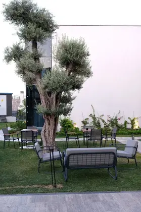 Casa Bellisimo Hotel - Görsel 14