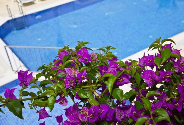 Zuzuu Beach Hotel - Görsel 5