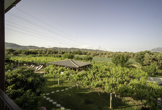 Grape Butik Otel - Görsel 15