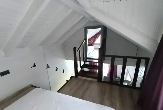 Tiny House Masukiye - Görsel 5