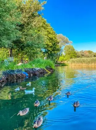 Oktay Golden House - Görsel 10