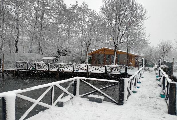 Oktay Golden House - Görsel 5