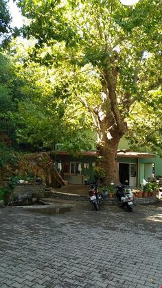 Soguk Su Kafeterya Tatil Odalari - Görsel 5