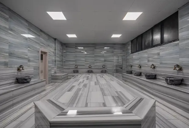 Regulus Termal Spa - Görsel 15