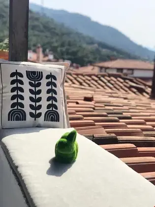 Maison Kiraznar Cicekleri Akyaka - Görsel 2