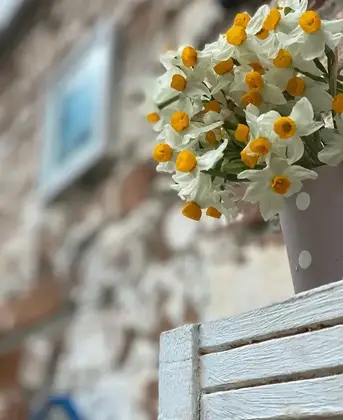 Olea Sığacık Pansiyon & Bistro - Görsel 7