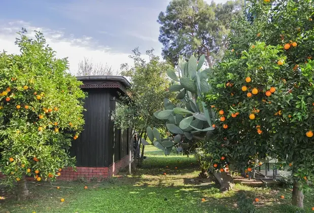 Doğa Hotel Çıralı - Görsel 3