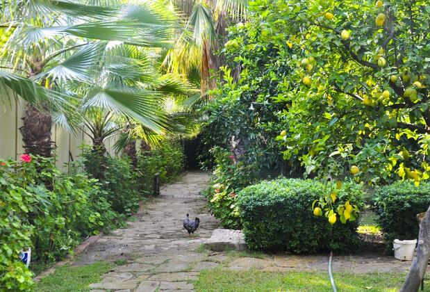 Doğa Hotel Çıralı - Görsel 5