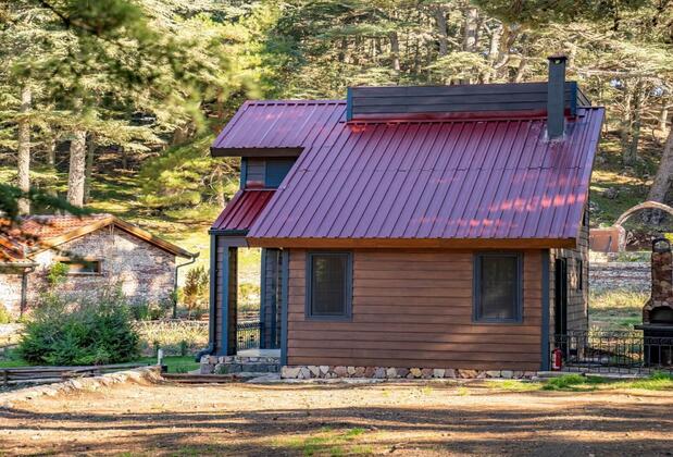 Cragus Inn Fethiye - Görsel 3