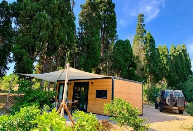 Zeytincik Tiny Cesme - Görsel 2