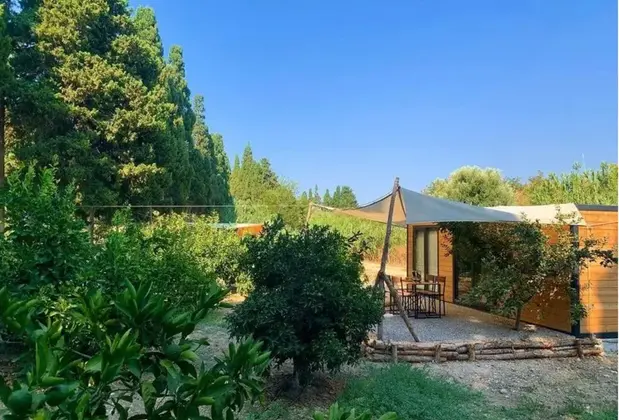 Zeytincik Tiny Cesme - Görsel 9