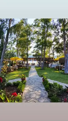 Albatros Beach Butik Otel - Görsel 6