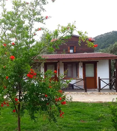 Albatros Beach Butik Otel - Görsel 3