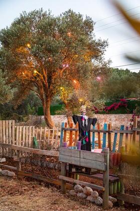 Sunderland Vadi - Görsel 20