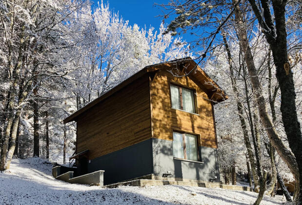 Abant Niz Otel - Görsel 4