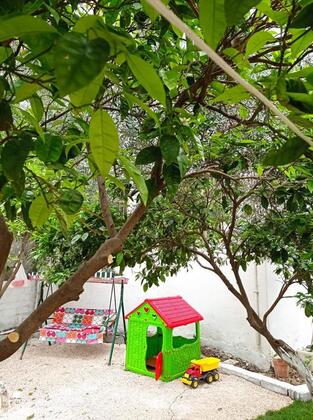 Denizim Apart Bungalov - Görsel 10