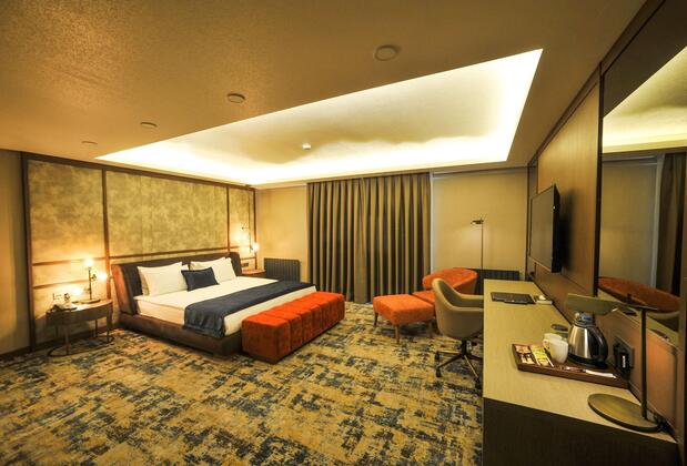 The Alpfine Hotel Ankara - Görsel 6