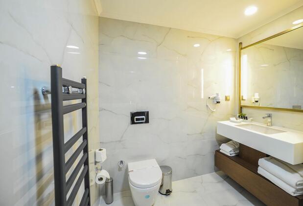 The Alpfine Hotel Ankara - Görsel 16