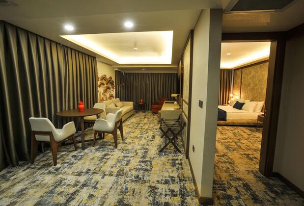 The Alpfine Hotel Ankara - Görsel 8