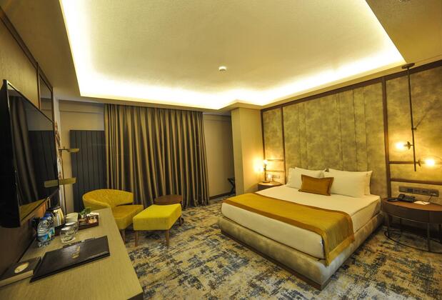 The Alpfine Hotel Ankara - Görsel 14