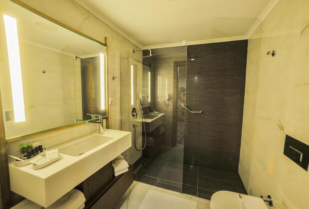 The Alpfine Hotel Ankara - Görsel 20