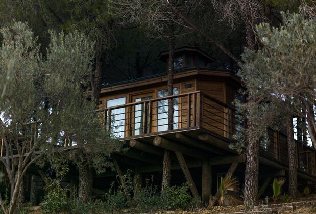 Kairos Valley Health & Nature Resort Hotel - Görsel 8