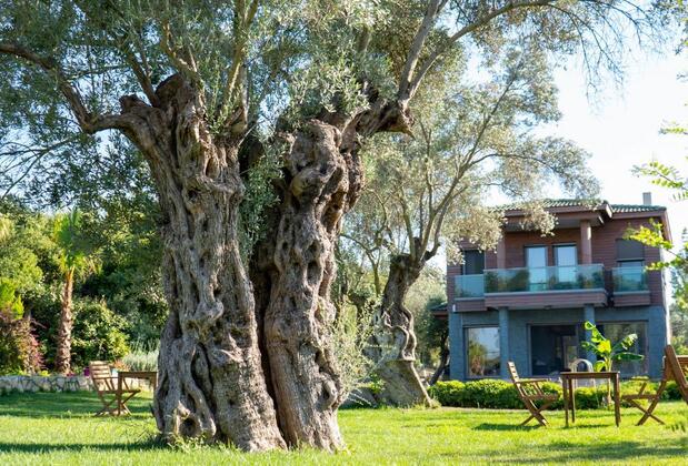 Bryela Hotel Urla - Görsel 3