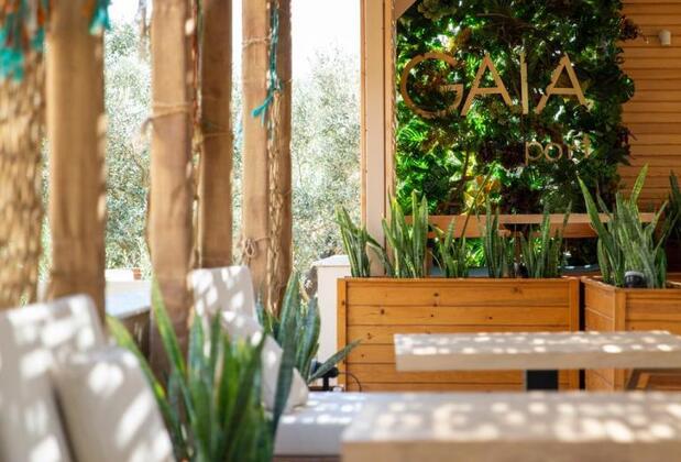 GAIA Kozbeyli - Görsel 15