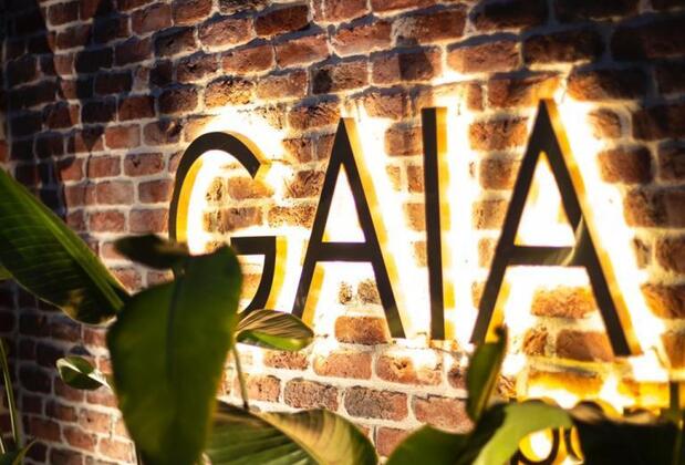 GAIA Kozbeyli - Görsel 3