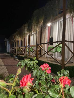 No7 Adrasan - Görsel 3