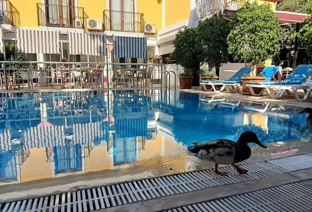 Hotel Barlas - Görsel 3