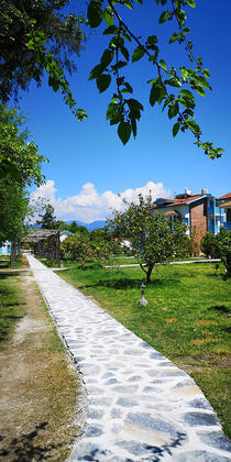 Endemik Beach Hotel (Yonca Lodge) - Görsel 24