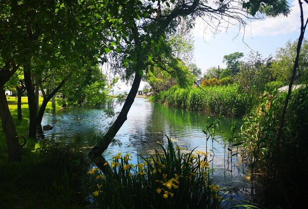 Endemik Beach Hotel (Yonca Lodge) - Görsel 19