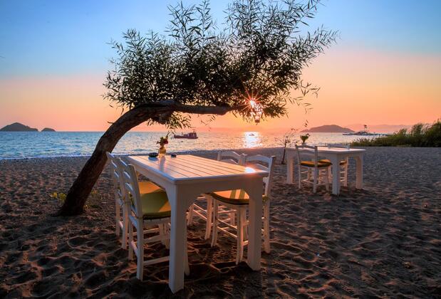 Endemik Beach Hotel (Yonca Lodge) - Görsel 22