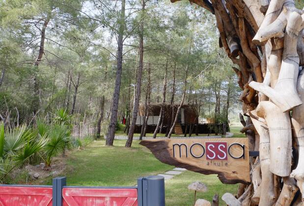 Mossa Afkule Kayaköy - Görsel 14