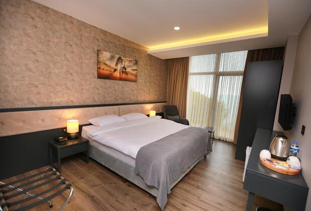 Pentahor Hotel - Görsel 5