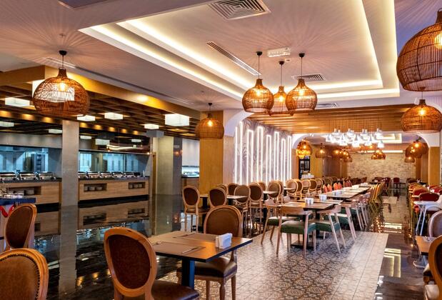 Hane Sun Elite - Görsel 5