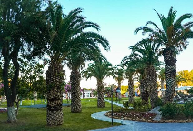 Club Beyy Resort Hotel - Görsel 9